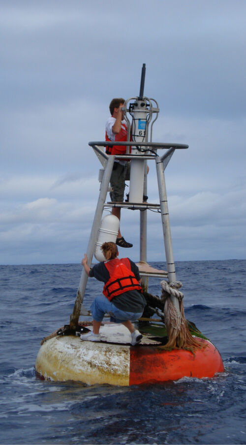 Two people are working on top of a buoy that is floating in water.